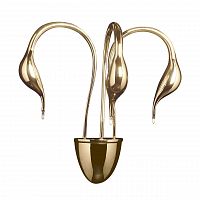 бра lightstar cigno collo 751632 в Симферополе