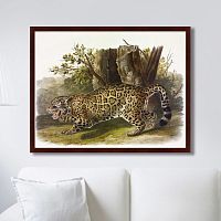 картина: jaguar, 1841г. в Симферополе