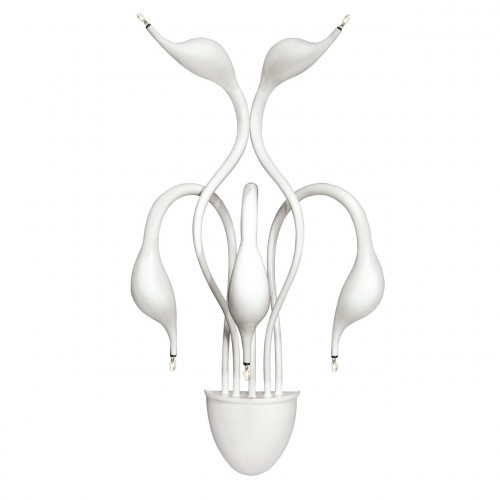 бра lightstar cigno collo wt 751656 в Симферополе