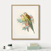 картина: love parrots, 1850г. в Симферополе