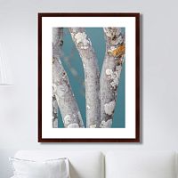 картина: trees on the galapagos islands, ecuador no1 в Симферополе