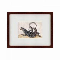 картина: black tegu lizard, 1700 в Симферополе