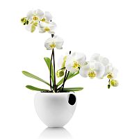 горшок для орхидеи orchid pot белый в Симферополе