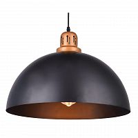 подвесной светильник arte lamp eurica a4249sp-1bk в Симферополе