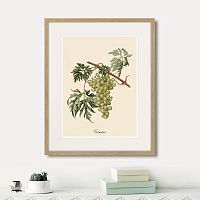 картина juicy fruit lithography №13, 1870 г., 42х52 см в Симферополе