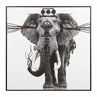 постер ornate elephant черный в Симферополе