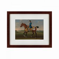 картина: bay racehorse with jockey up, 1730 в Симферополе