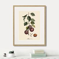 картина: juicy fruit lithography №6, 1870г. в Симферополе