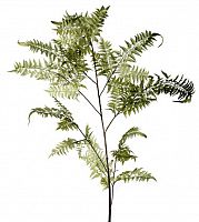 декор fl12056 (giant fern) в Симферополе