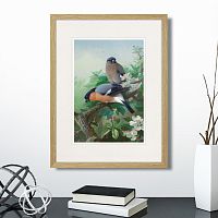 картина: bullfinches, 1915г. в Симферополе