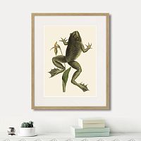 картина: big jumping frog, 1745г. в Симферополе