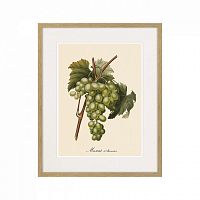 картина juicy fruit lithography №13-1, 1870 г., 42х52 см в Симферополе