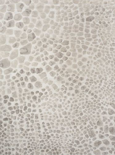 ковер ivory 64227i6575 120x170 в Симферополе