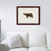 картина: rhinoceros ancienne gravure, 1849 в Симферополе