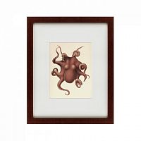 картина: pacific octopus, 1731 в Симферополе