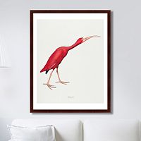 картина: scarlet ibis, 1827г. в Симферополе