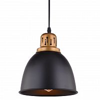 подвесной светильник arte lamp eurica a4245sp-1bk в Симферополе