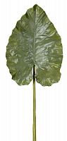 декор giant taro leaf в Симферополе