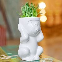 горшок для растений eco игнорик в Симферополе