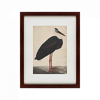 картина: black stork in a landscape, индия, 1780 в Симферополе