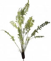 декор fern plant в Симферополе