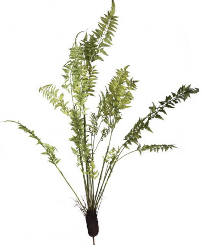 декор fern plant в Симферополе