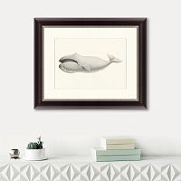 картина: bowhead whale (balaena mysticetus), 1856 в Симферополе