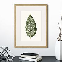 картина: single leaf of a plant №1, 1865г. в Симферополе