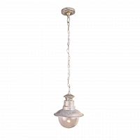 уличный подвесной светильник arte lamp amsterdam a1523so-1wg в Симферополе