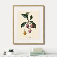 картина: juicy fruit lithography №9, 1870г. в Симферополе